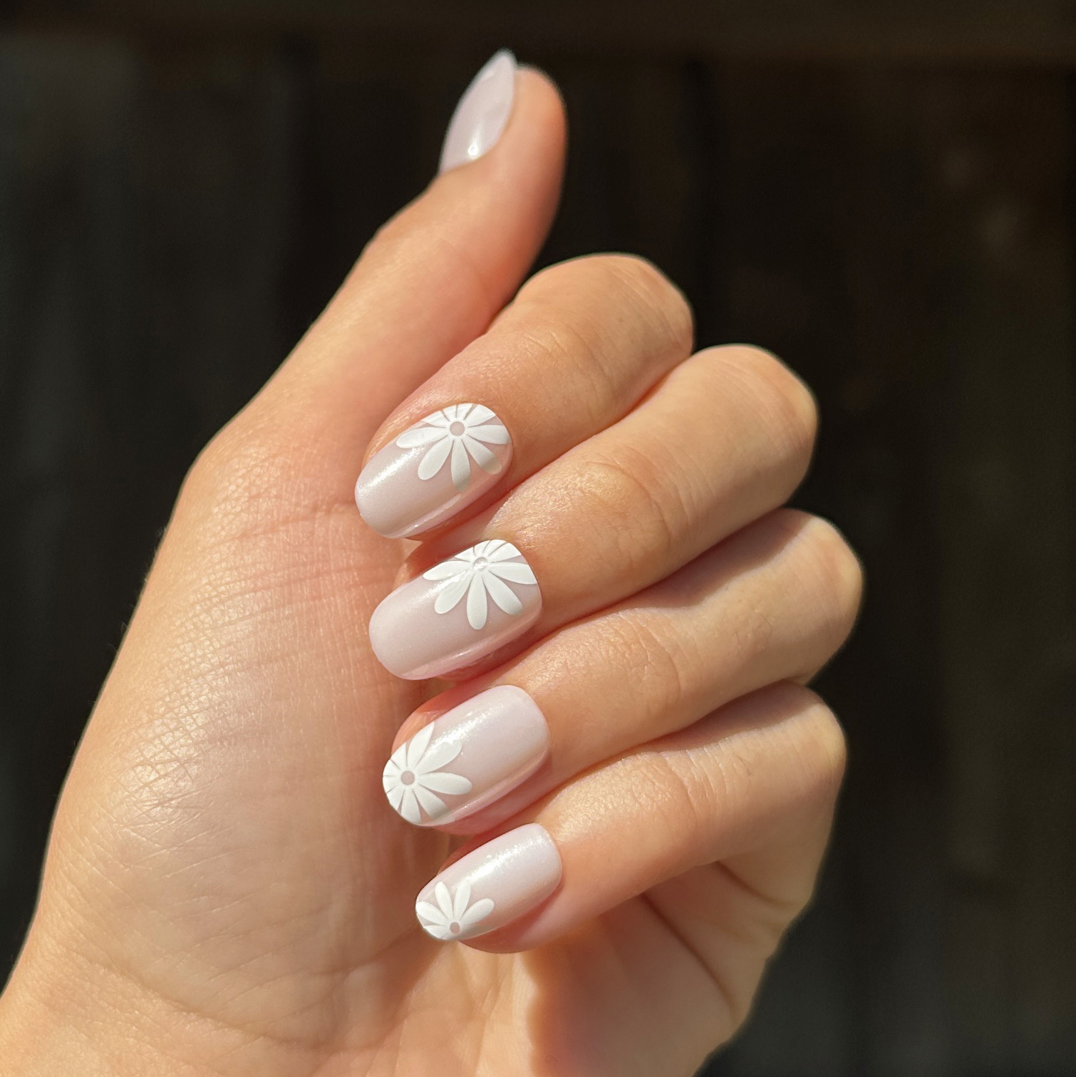 Chrome Daisy Pop - Press-On | Short | Round、mySite、solidvoid