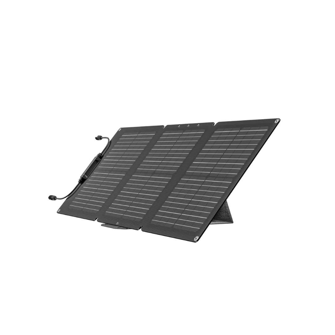 Ecoflow Painel Solar 60W (Tipo-C) - Painel Solar Portátil e Dobrável、mySite、fannypackpong