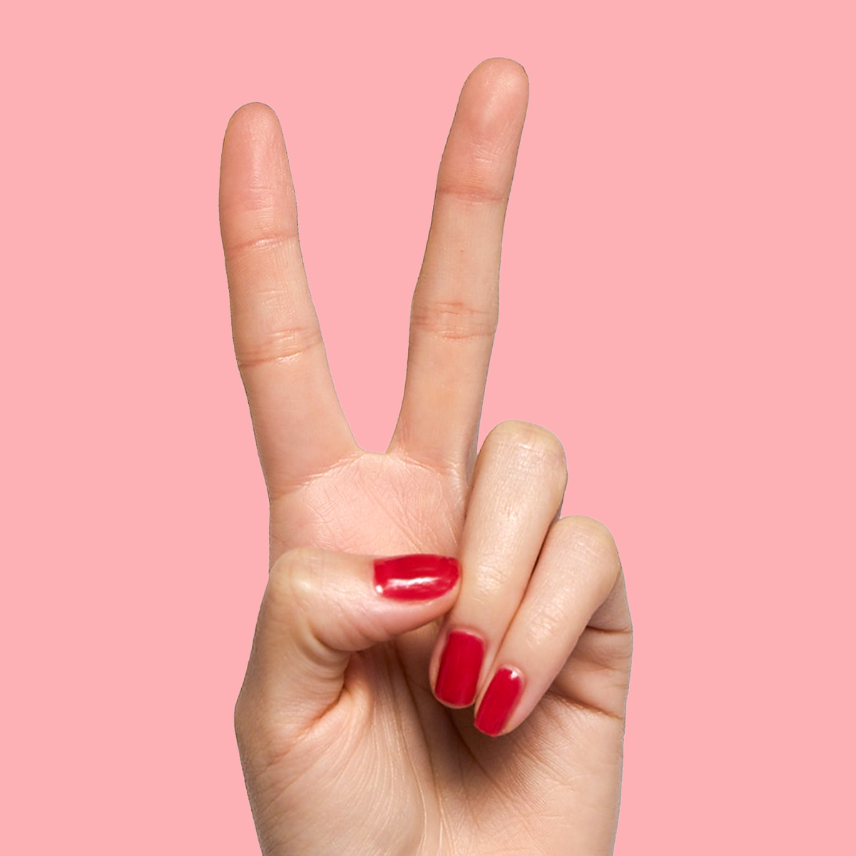 UR A CUTIE、mySite、solidvoid