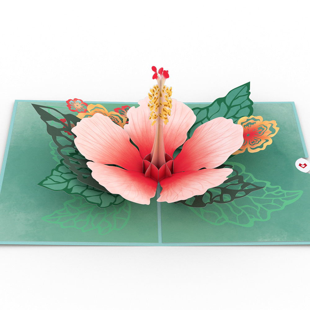 Hibiscus Bloom Pop-Up Card、mySite、solidvoid