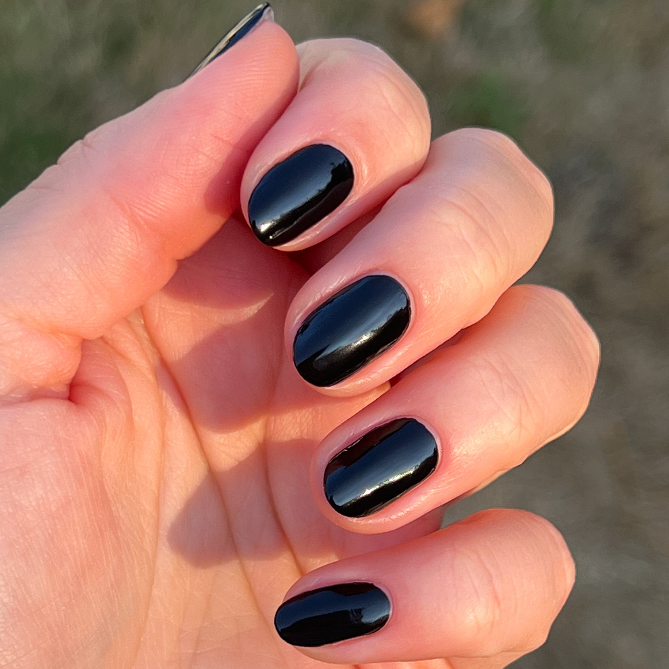 Cateye、mySite、solidvoid