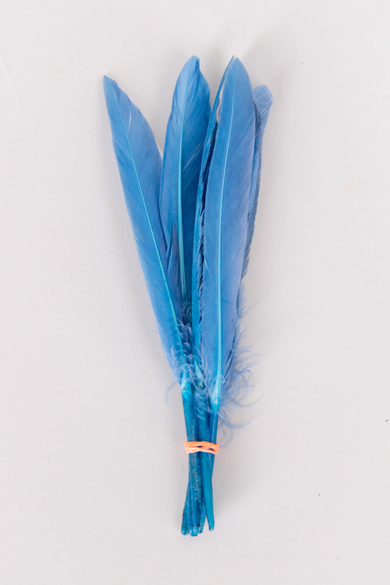 Mini Goose Feathers Bundle of 6- Orange Rubber Band - FINAL SALE、mySite、hinf8tx79
