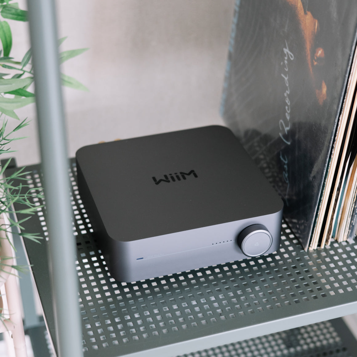  WiiM - Amp / Amp Pro、mySite、merchandisen