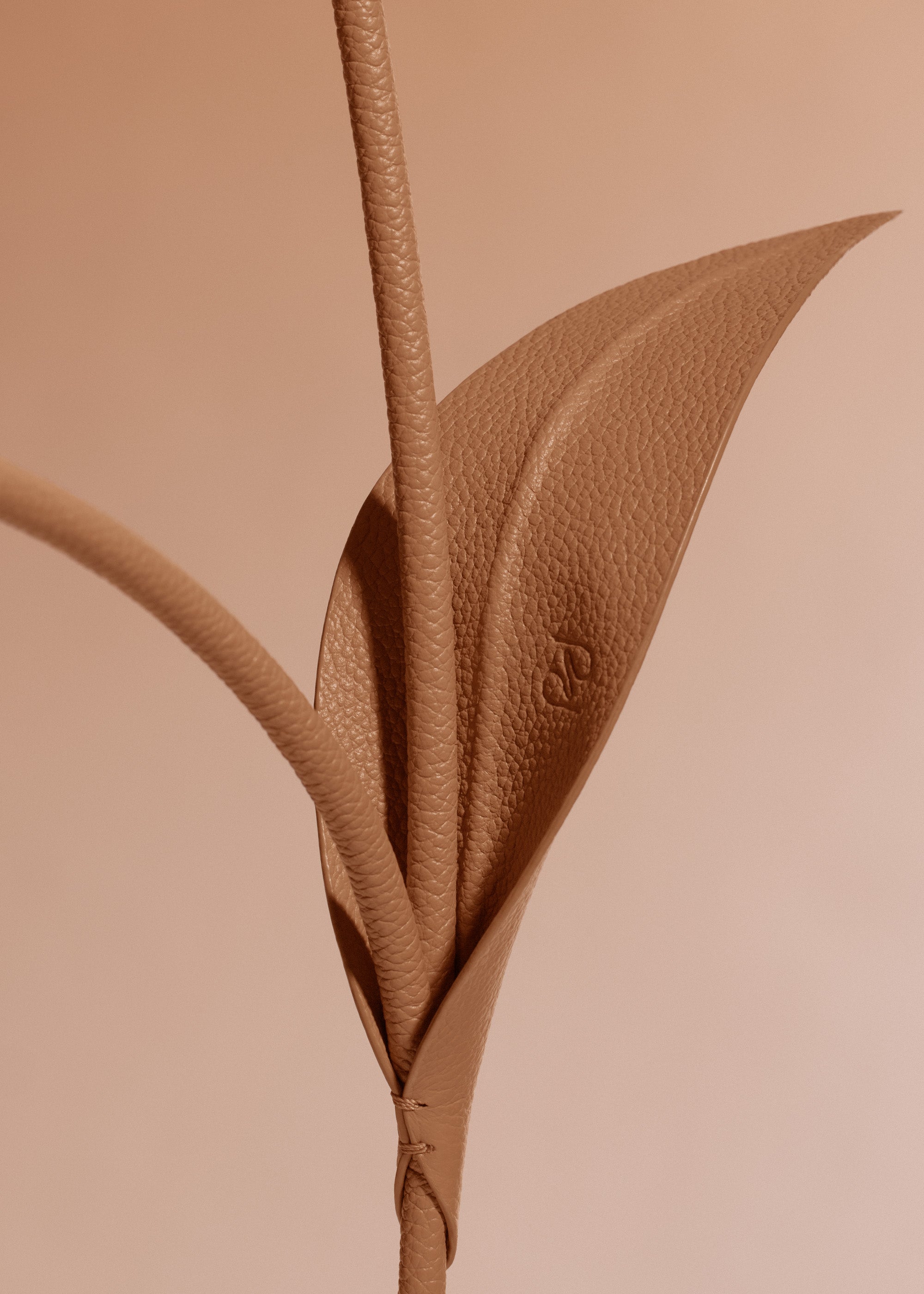 Fleur Tul - Duo Tan Grain茅、mySite、camillekostekn