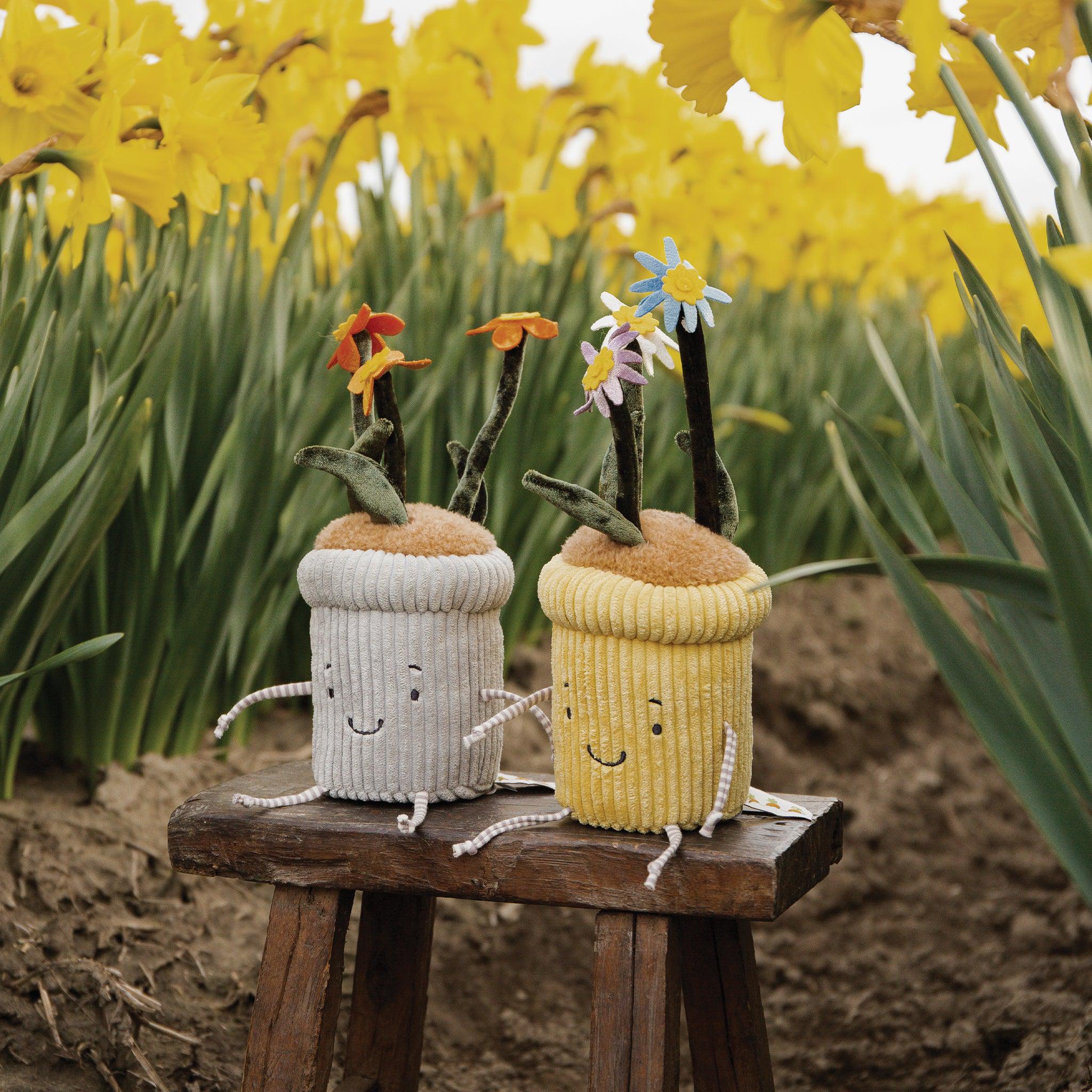 RETIRED - Window Silly- Daisies、mySite、g9winljtr