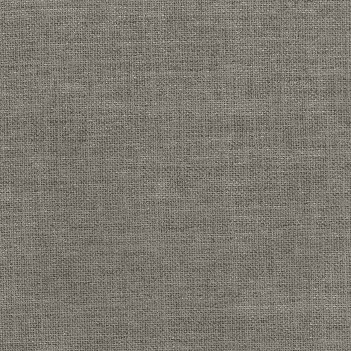 Grade A: Club CL054、mySite、neckold