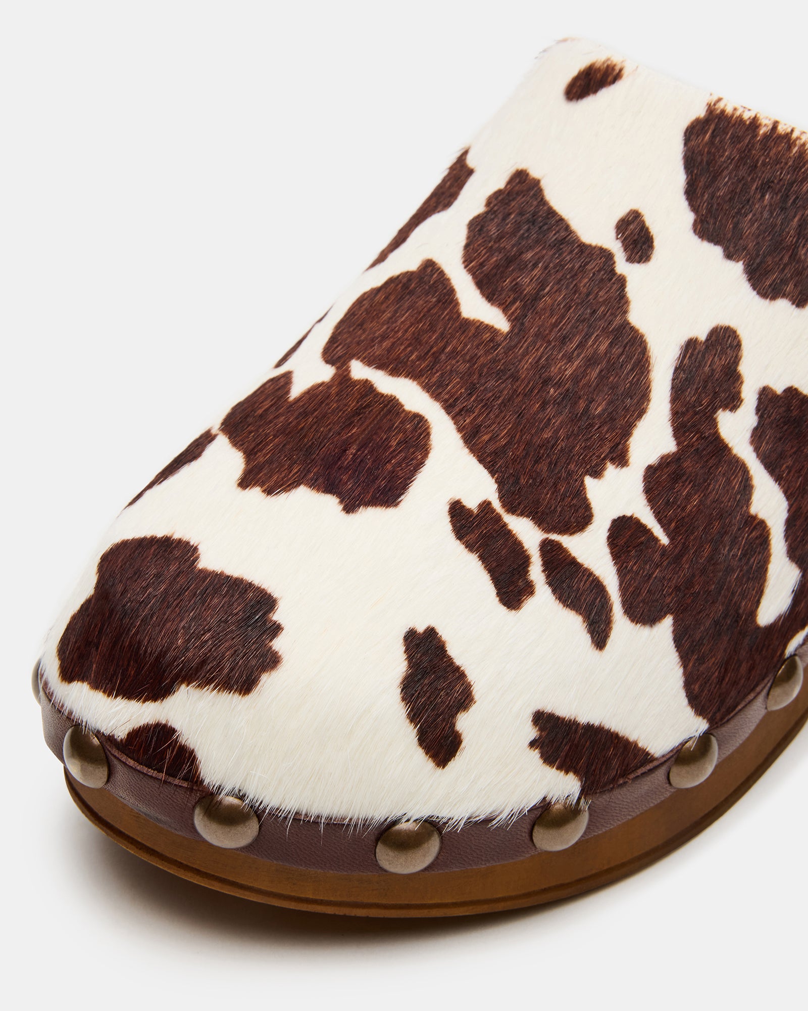 DANVER BROWN COW PRINT、mySite、gtrtttuynbv