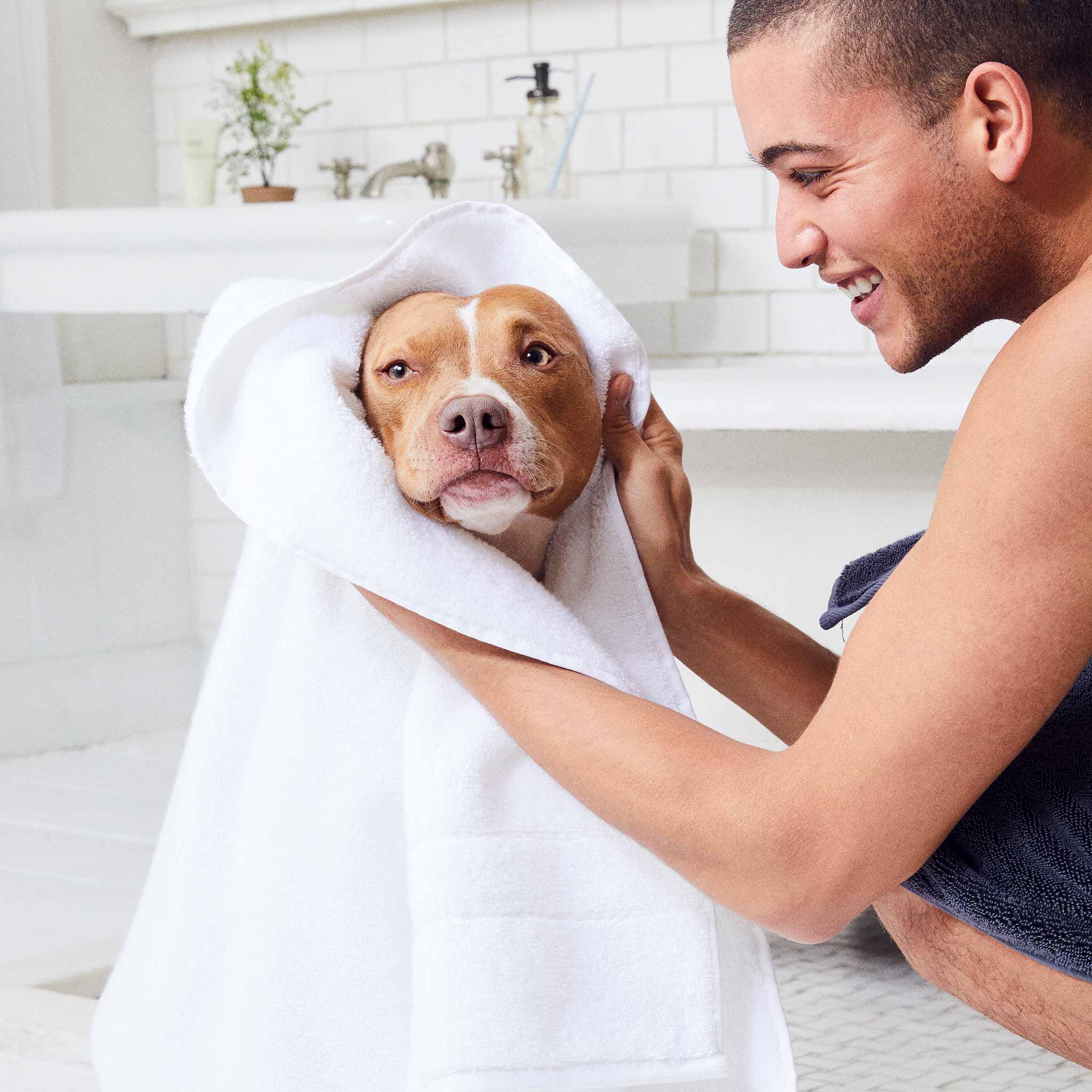  Test Super-Plush Turkish Cotton Towel Move-In Bundle、mySite、sugarbowlscore