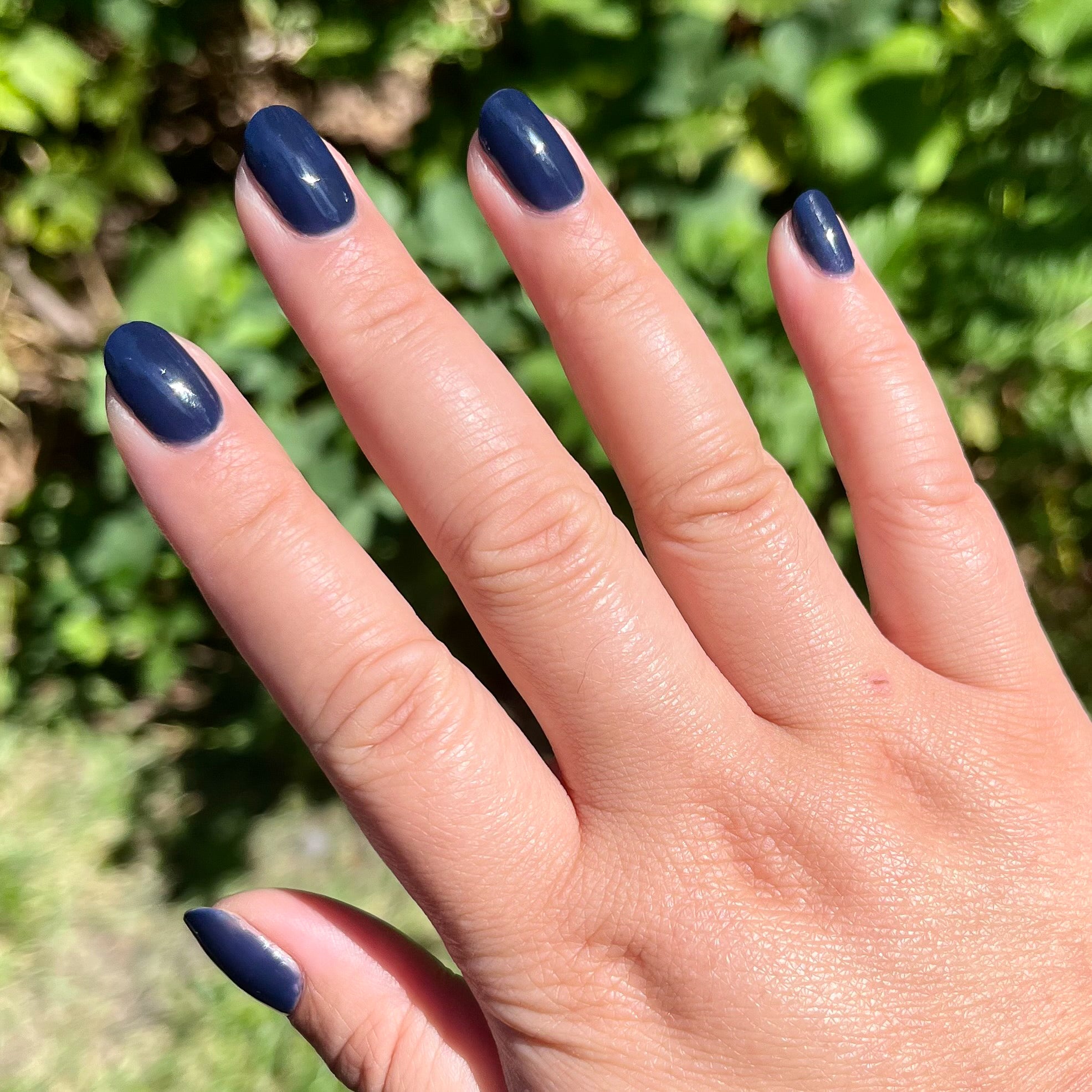 Suited、mySite、solidvoid