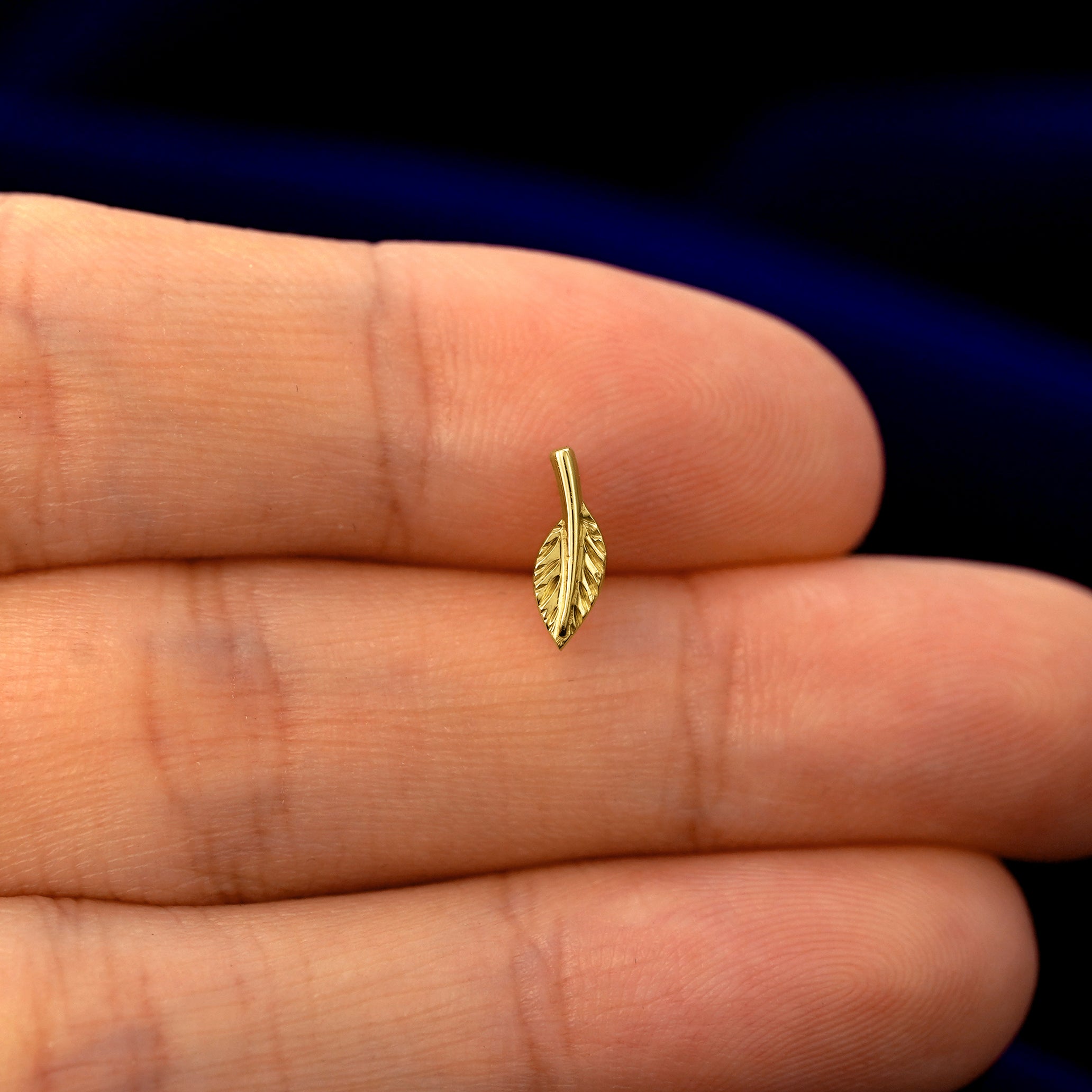 Leaf Earring、mySite、hinf8tx79