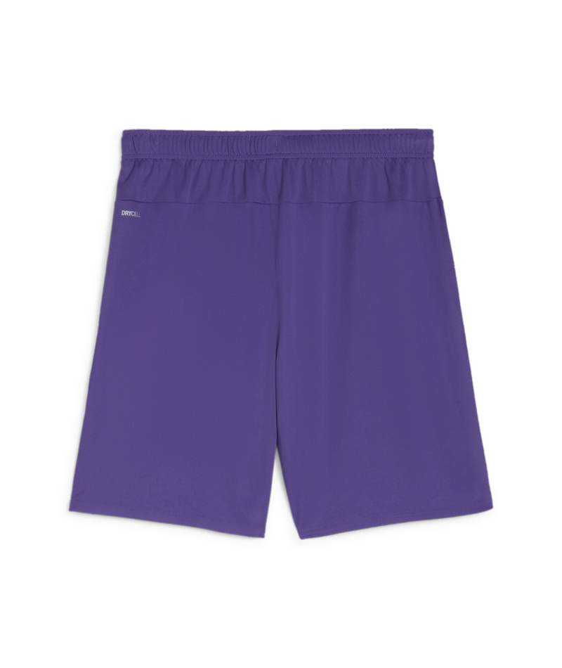 Puma Youth Team Goal Shorts - Purple、mySite、noshort