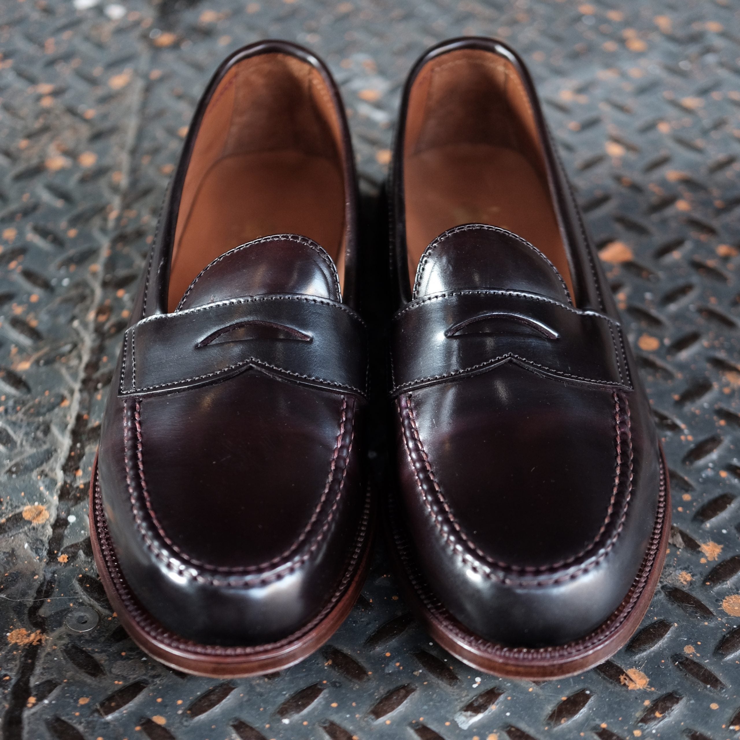  D6207 - Antique LHS in Color 8 Shell、mySite、preschool7hills