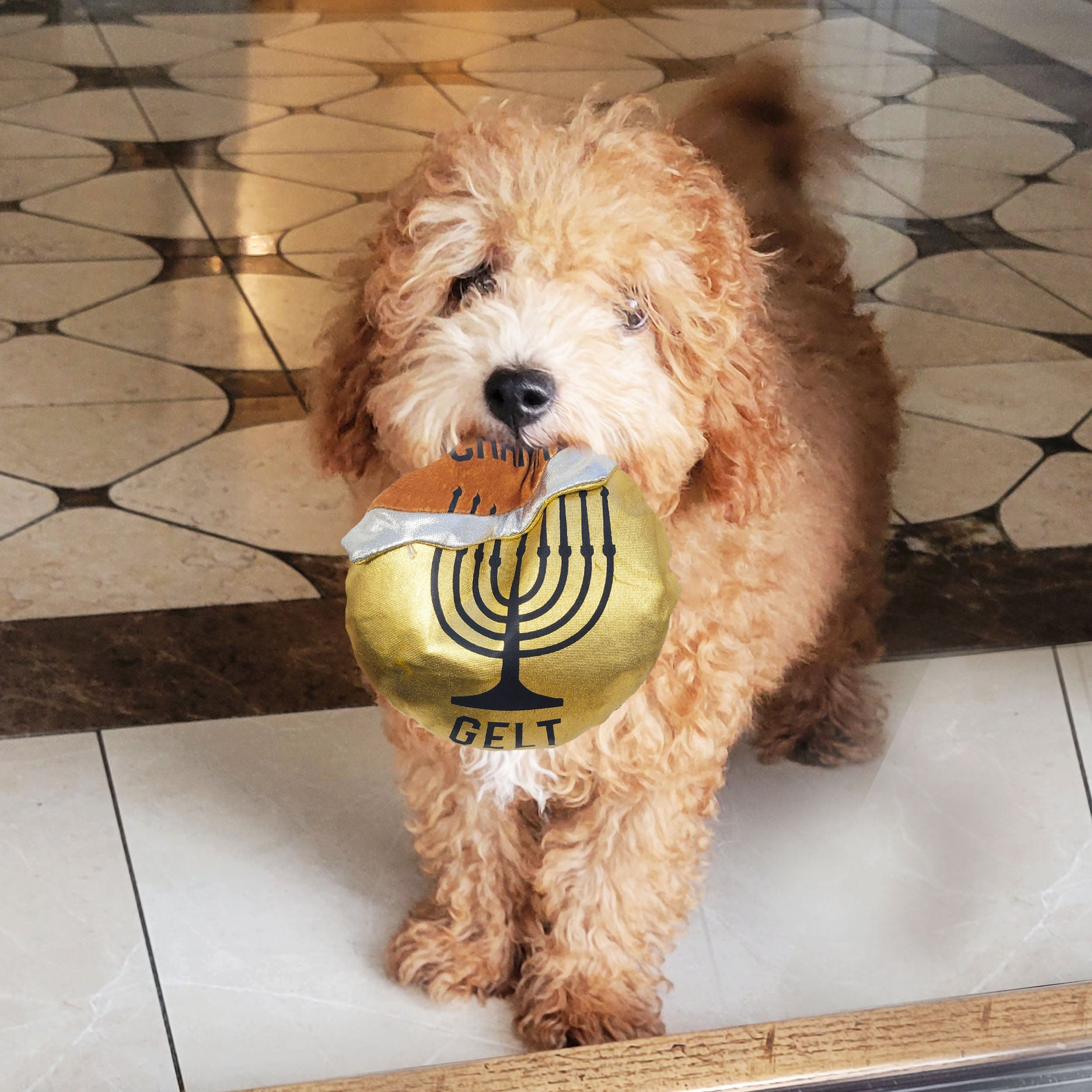 Chewdaica™ Hanukkah Gelt, Plush Dog Toy、mySite、topwebapps