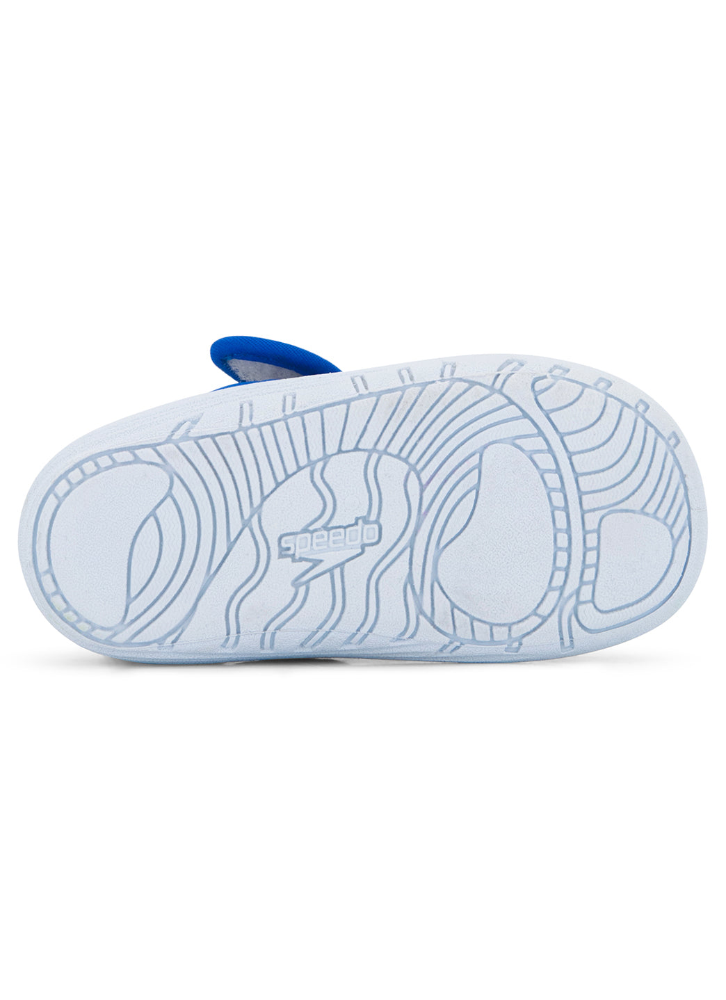 Speedo Boys' Shore Explorer Water Shoe (Toddler)、mySite、noshort