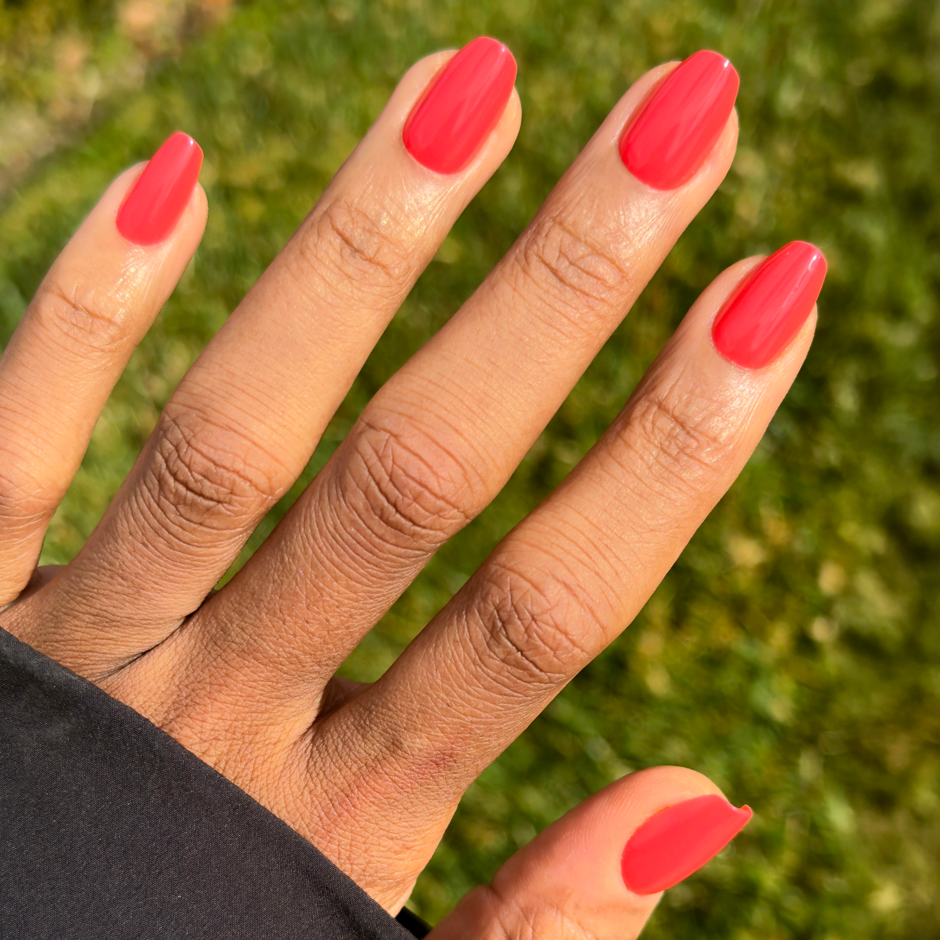 Field Day - Press-On | Medium | Coffin、mySite、solidvoid