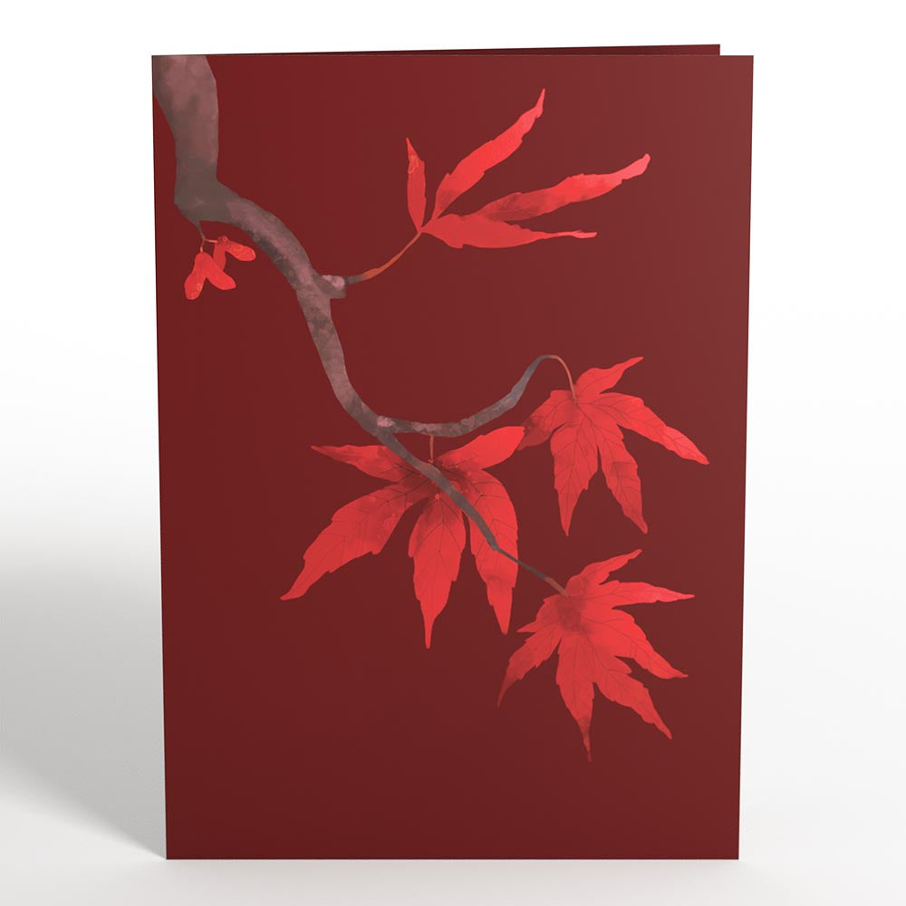 Majestic Japanese Maple Pop-Up Card、mySite、solidvoid