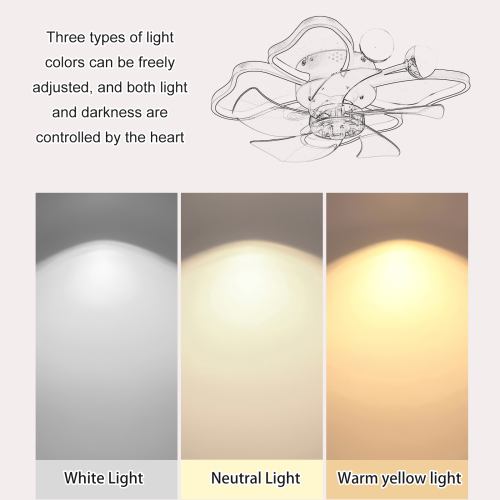 19.7 Inch Light Ceiling Fan with Lights Remote Control with Modern Butterfly Design Styling, Black, Fan for Bedroom, Living Room, Timing Function, Noiseless, Children's Favorite、、eastwooduniform