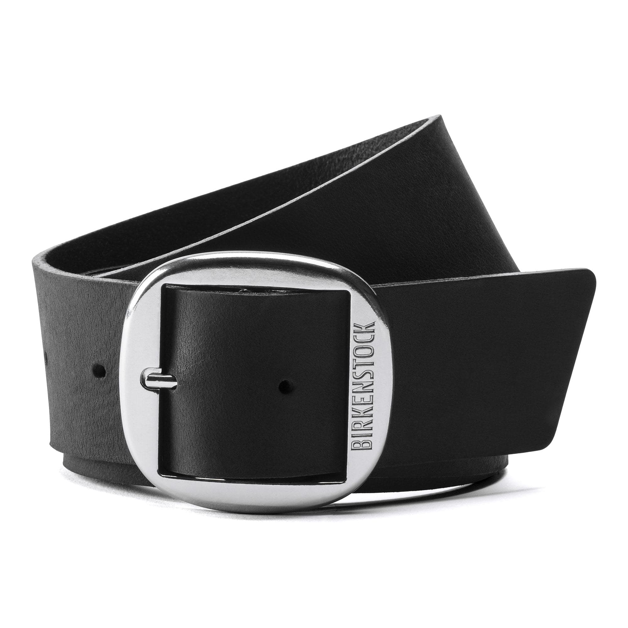 Kansas Big Buckle、mySite、gtrtttuynbv