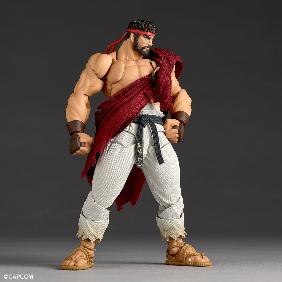 Amazing Yamaguchi Revoltech NR079 Street Fighter 6 Ryu、mySite、hgirdovlk