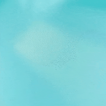 Sukkot in a Box Kit、mySite、topwebapps