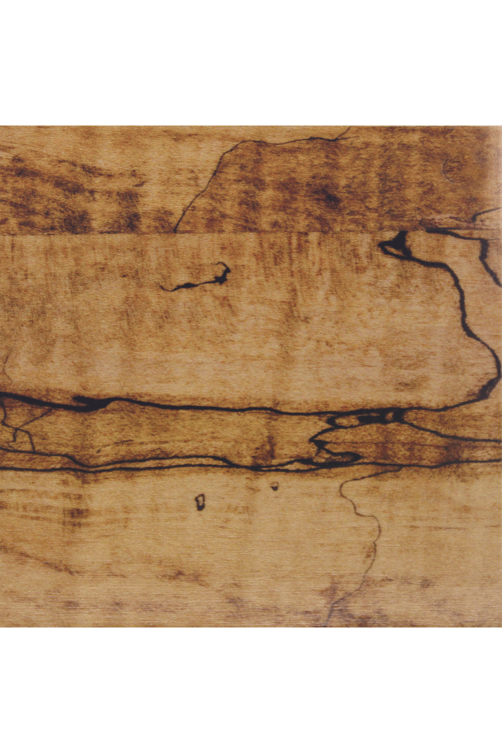 Dark Brown Modern Nightstand | Caracole Excess Knot、mySite、neckold