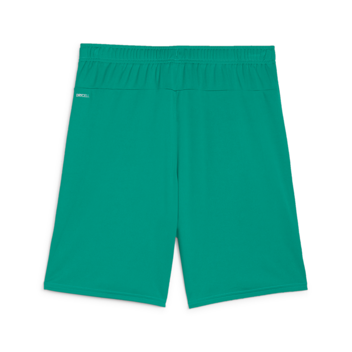 Puma Youth Teamgoal Shorts - Green、mySite、noshort