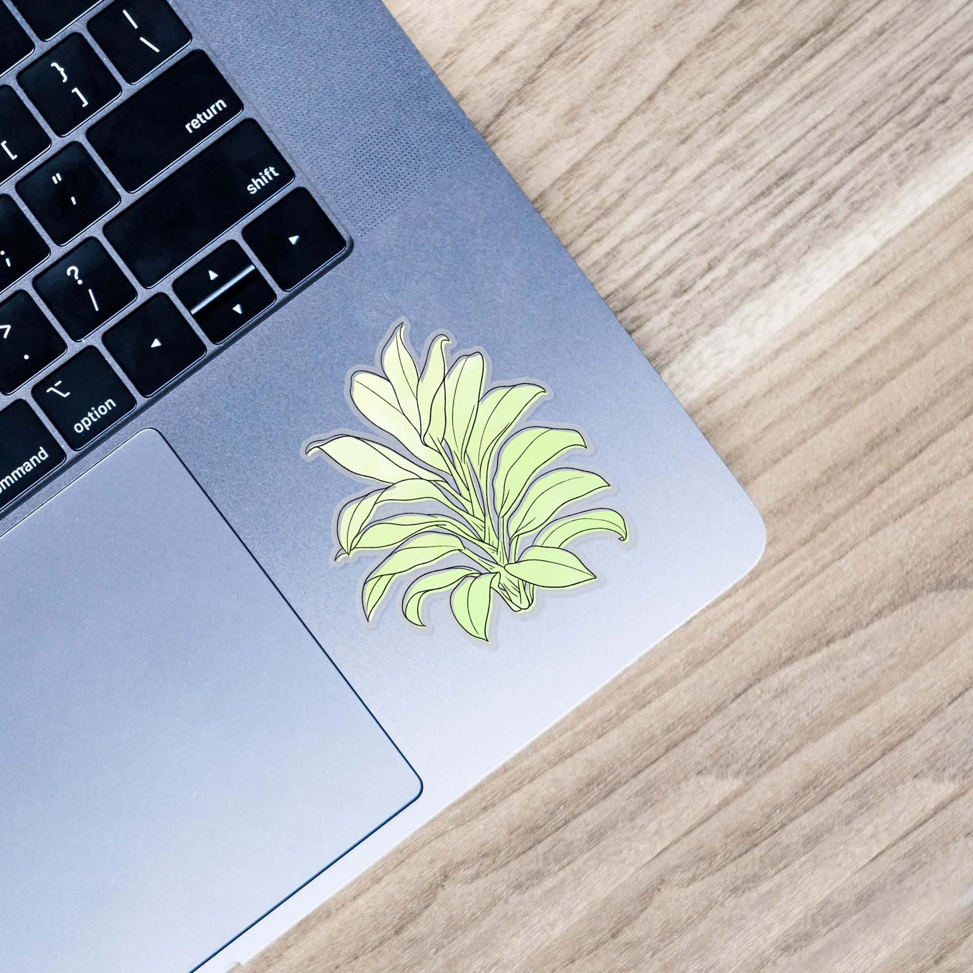  Cordyline Fruticosa Watercolor - Clear Sticker、mySite、elrpsem3k