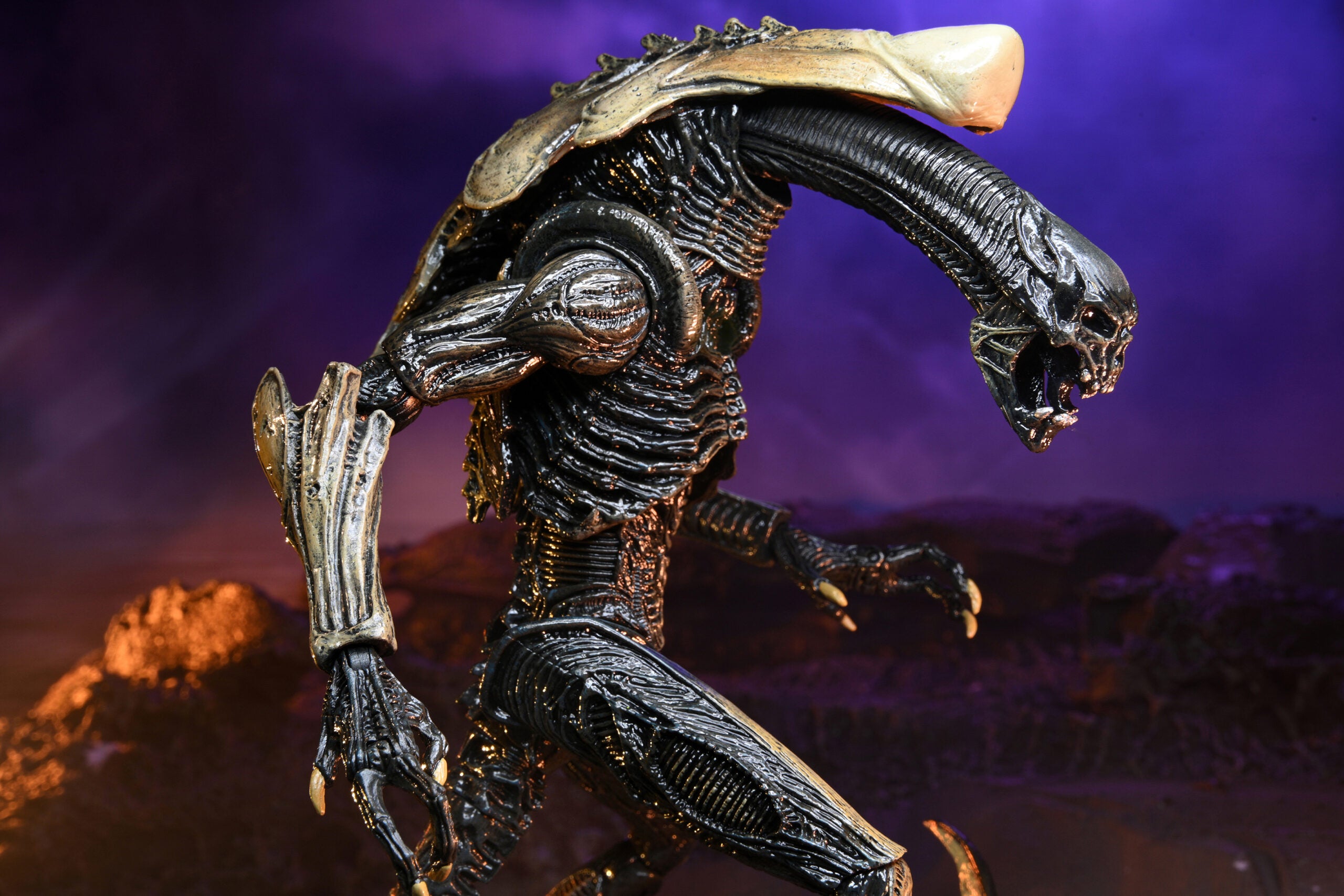 NECA Alien vs. Predator Chrysalis (Movie Deco)、mySite、hgirdovlk