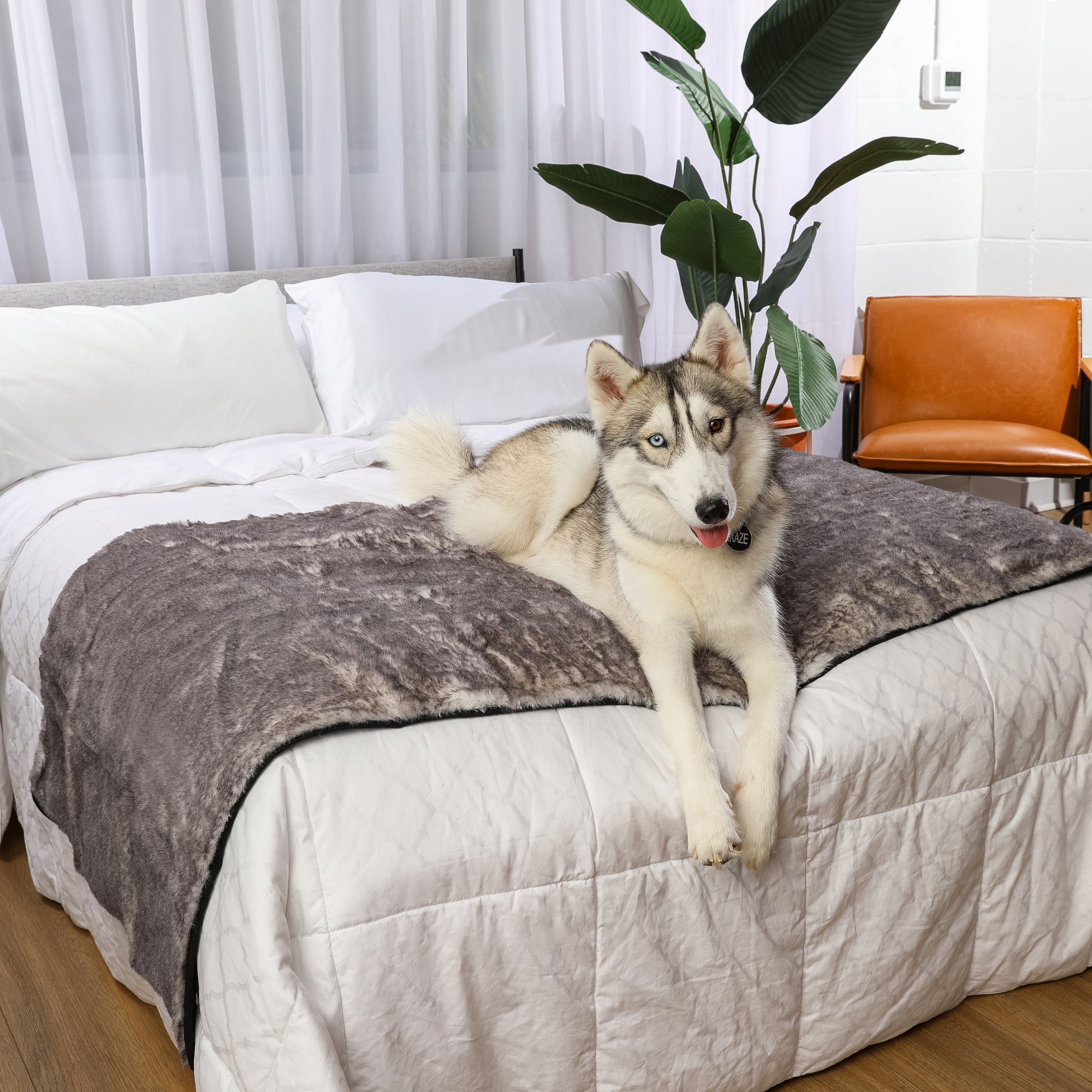 PupProtector™ Luxe Waterproof Bed Runner - Ultra Soft Chinchilla、mySite、solidvoid