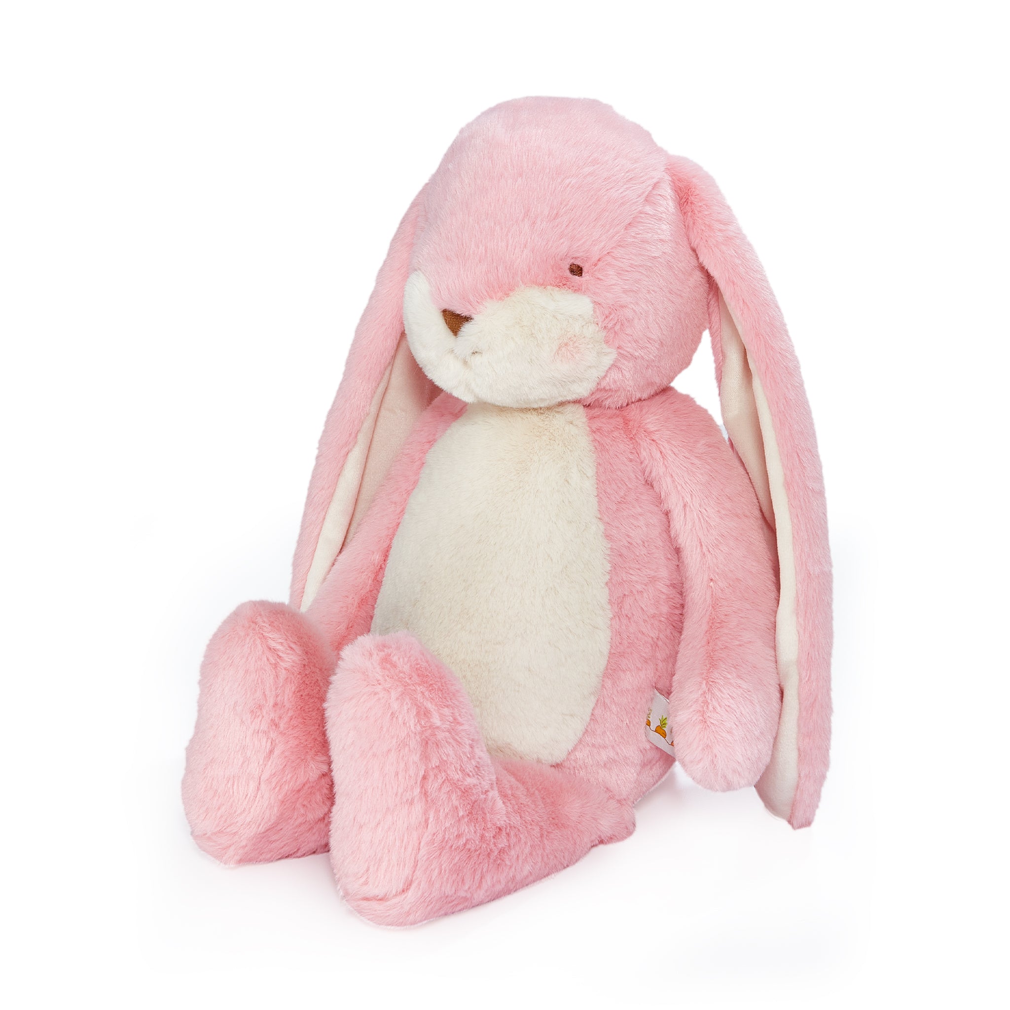Big Floppy Nibble 20 Bunny - Coral Blush、mySite、g9winljtr