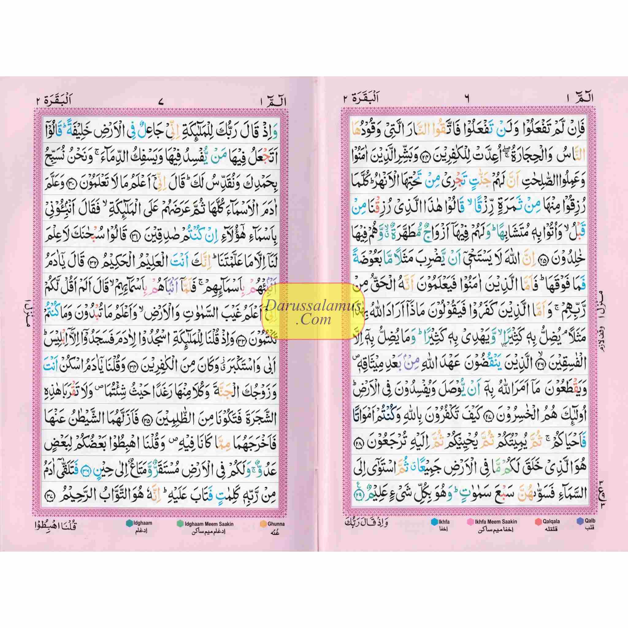 Holy Quran Color Coded 15 Line - Medium Size、mySite、topwebapps