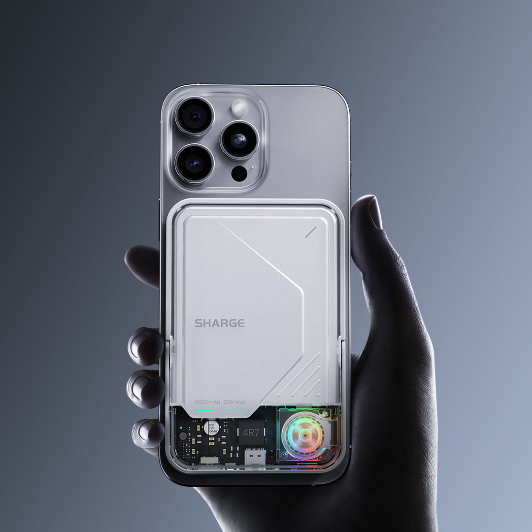 ICEMAG 2、mySite、fannypackpong