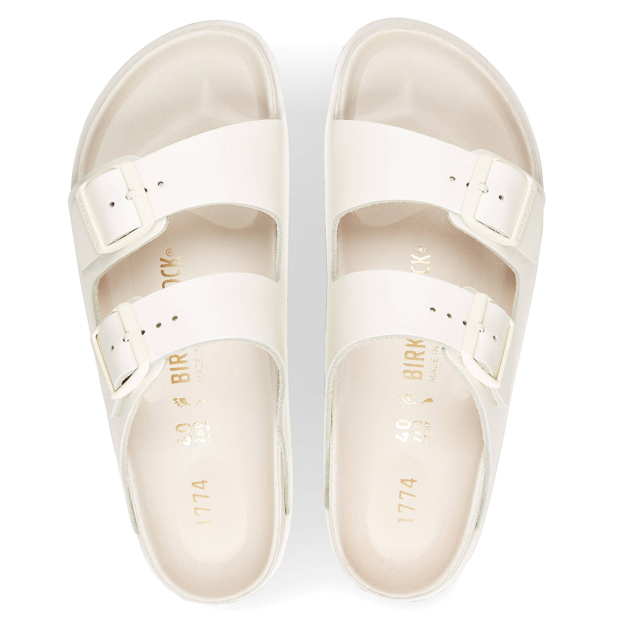 1774 Arizona Premium、mySite、gtrtttuynbv