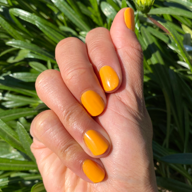 Sweet & Gracious、mySite、solidvoid