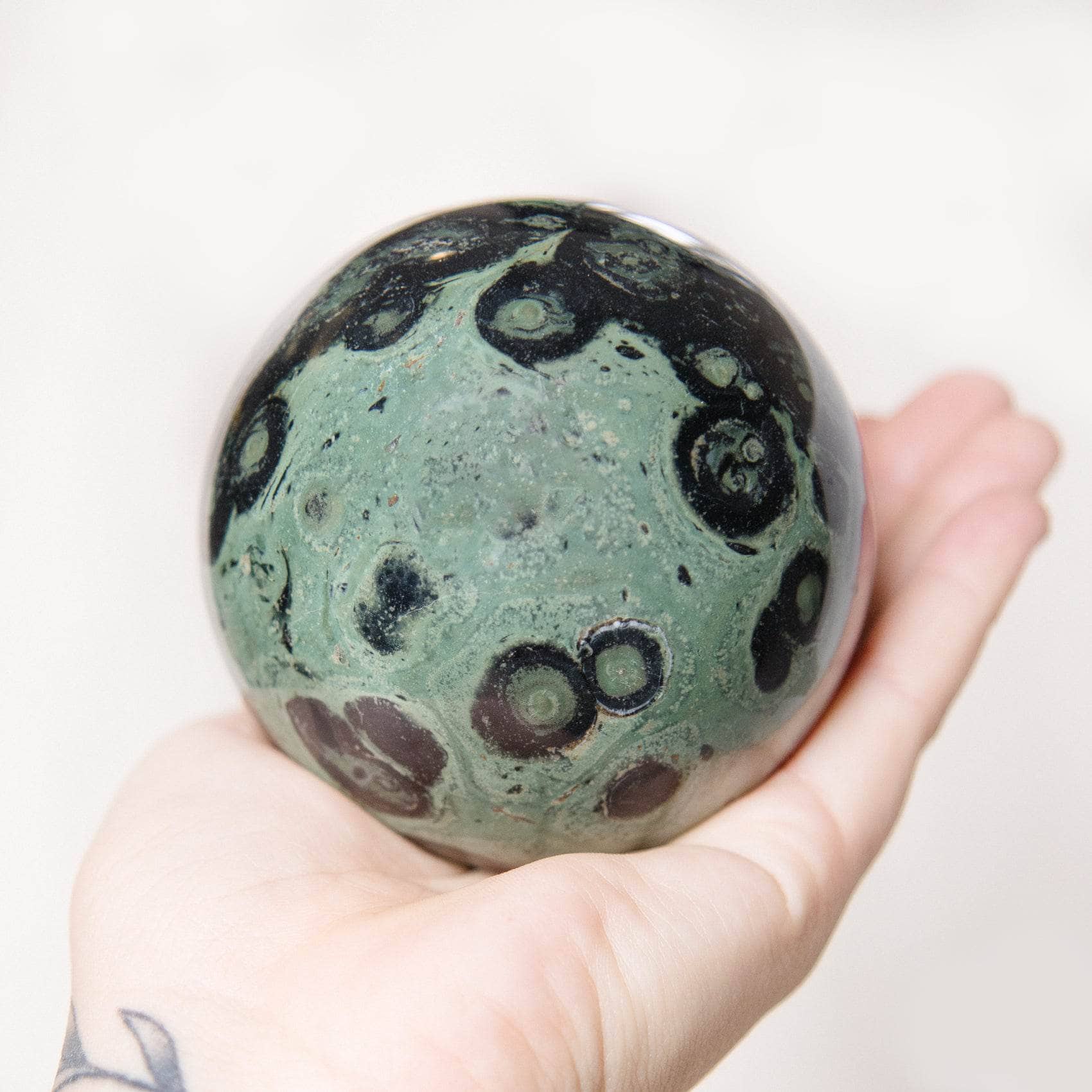 Kambaba Jasper Sphere - AAA Premium Quality、mySite、hinf8tx79