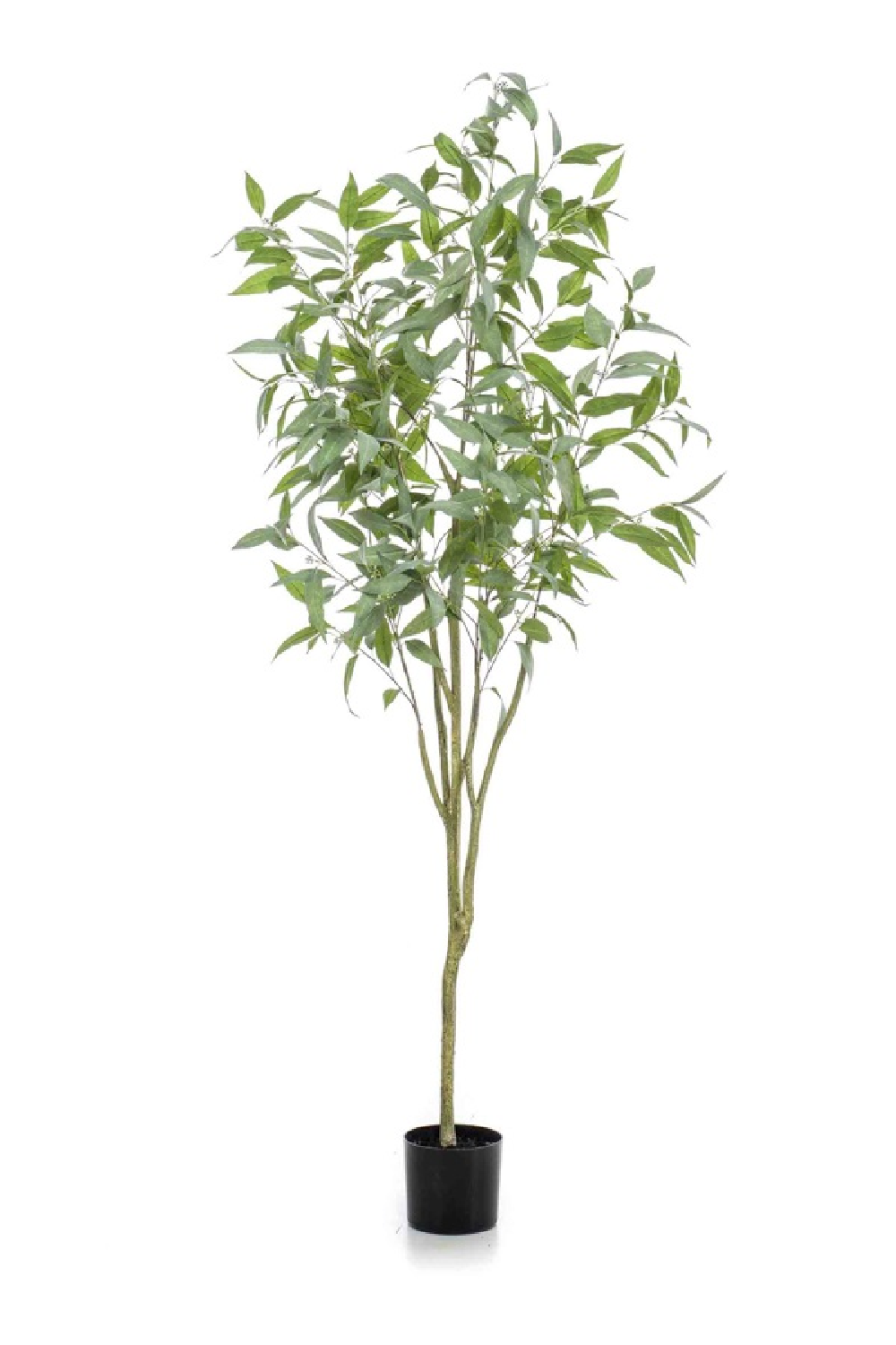 Blue Gum Faux Tree Set (2) | Emerald Eucalyptus Globulus、mySite、neckold