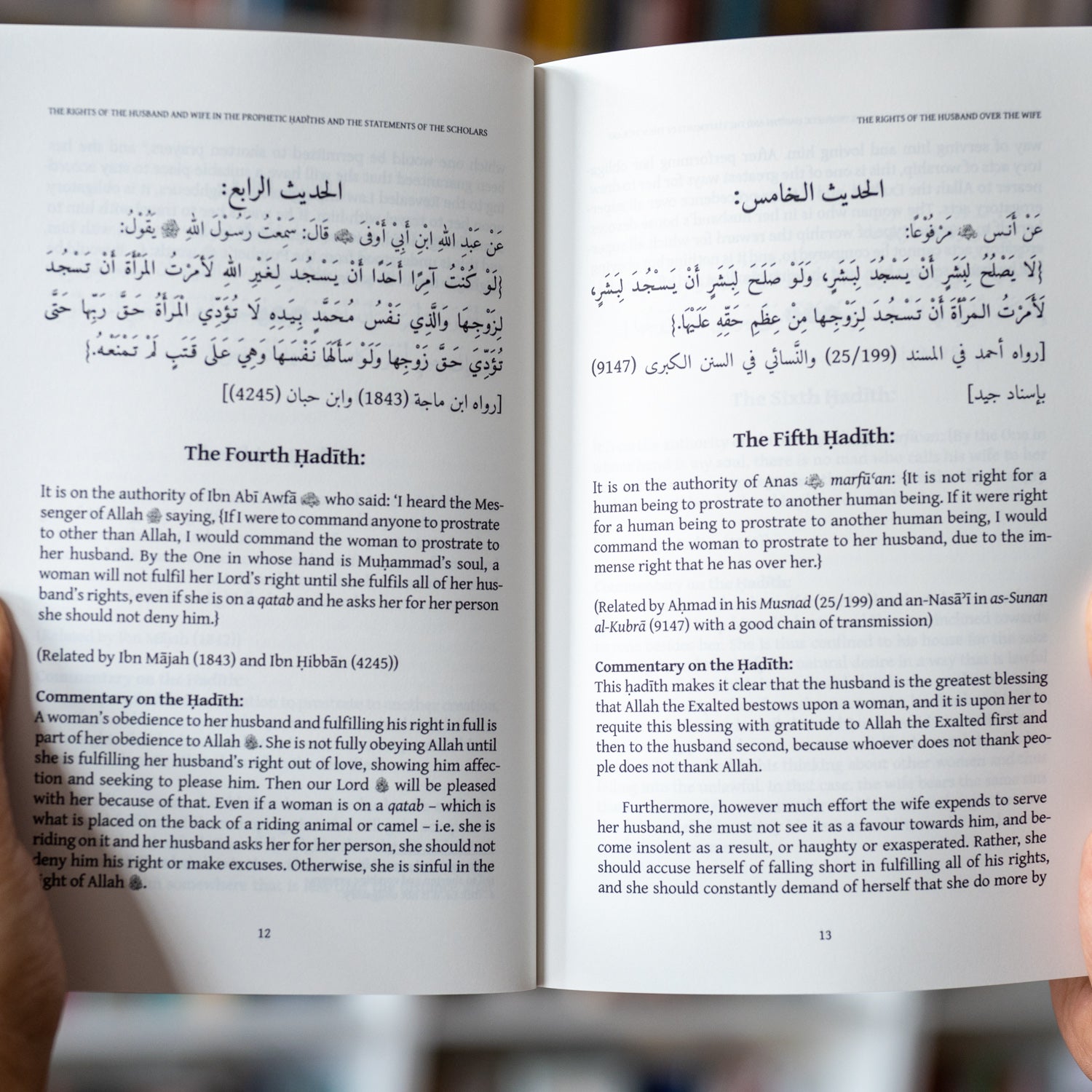 The Rights of the Husband and Wife、mySite、topwebapps