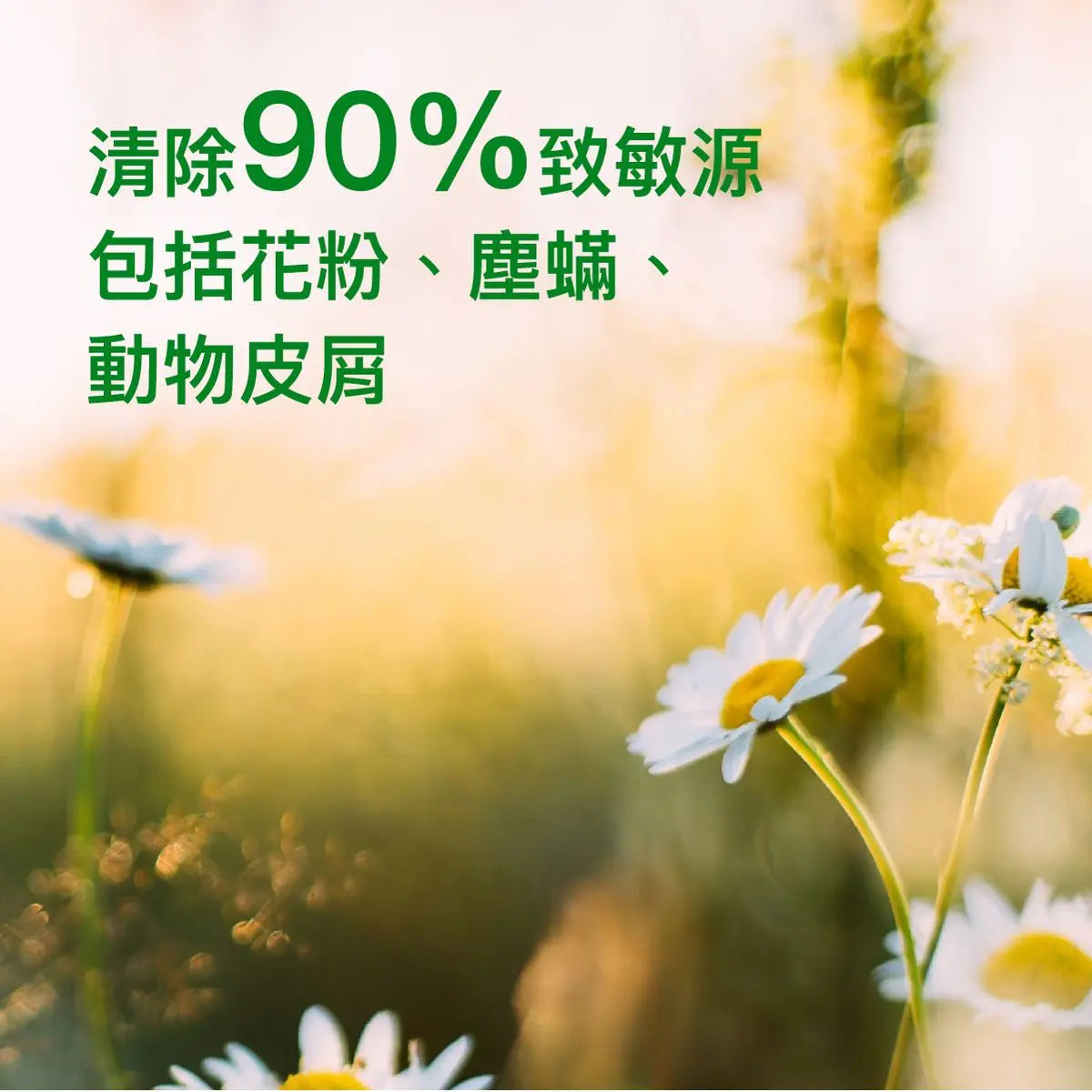 滴露 - 萬用消毒噴劑 500ML、mySite、g9winljtr