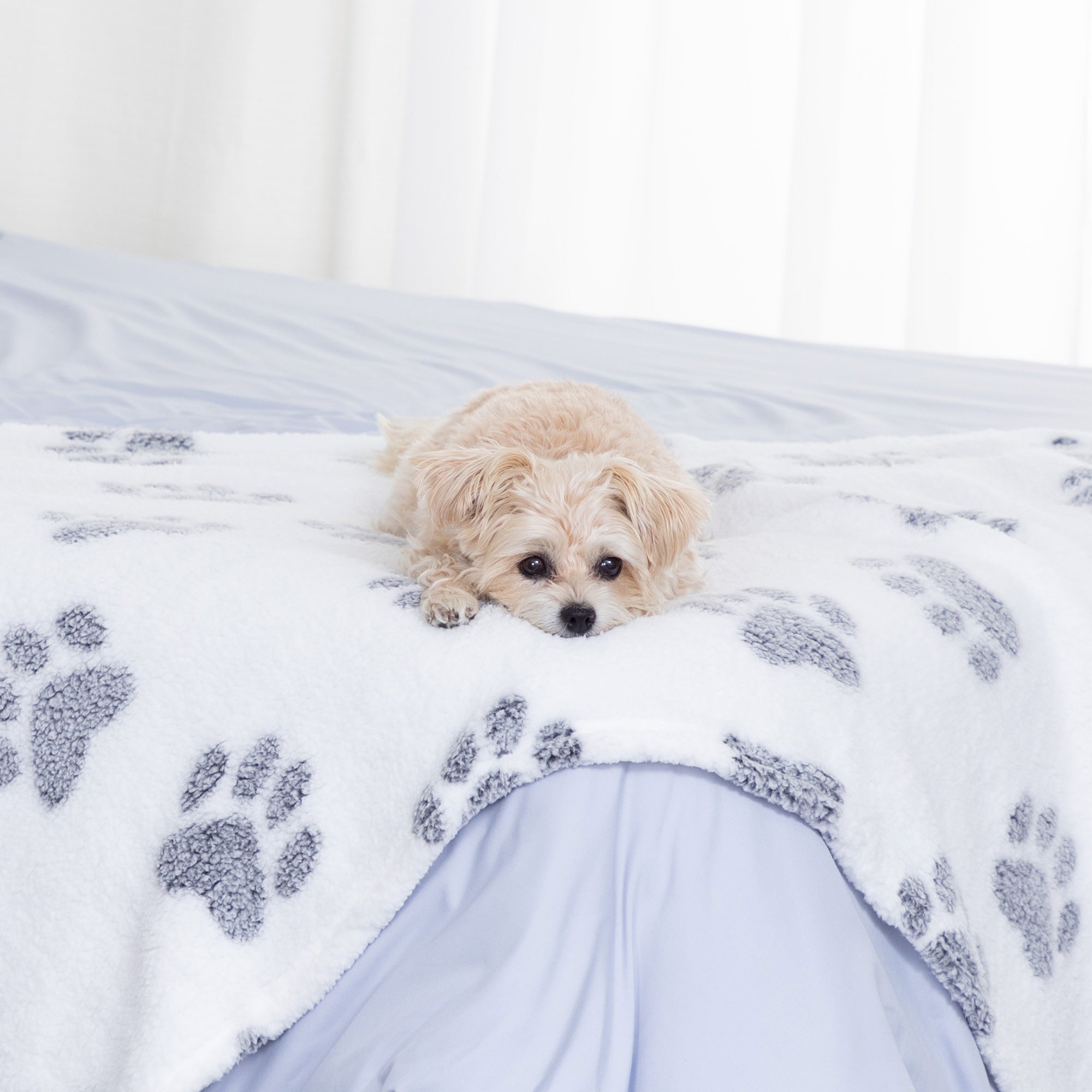 Paws I Love You Plush Sherpa Fleece Pet Blanket、mySite、camillekostekn