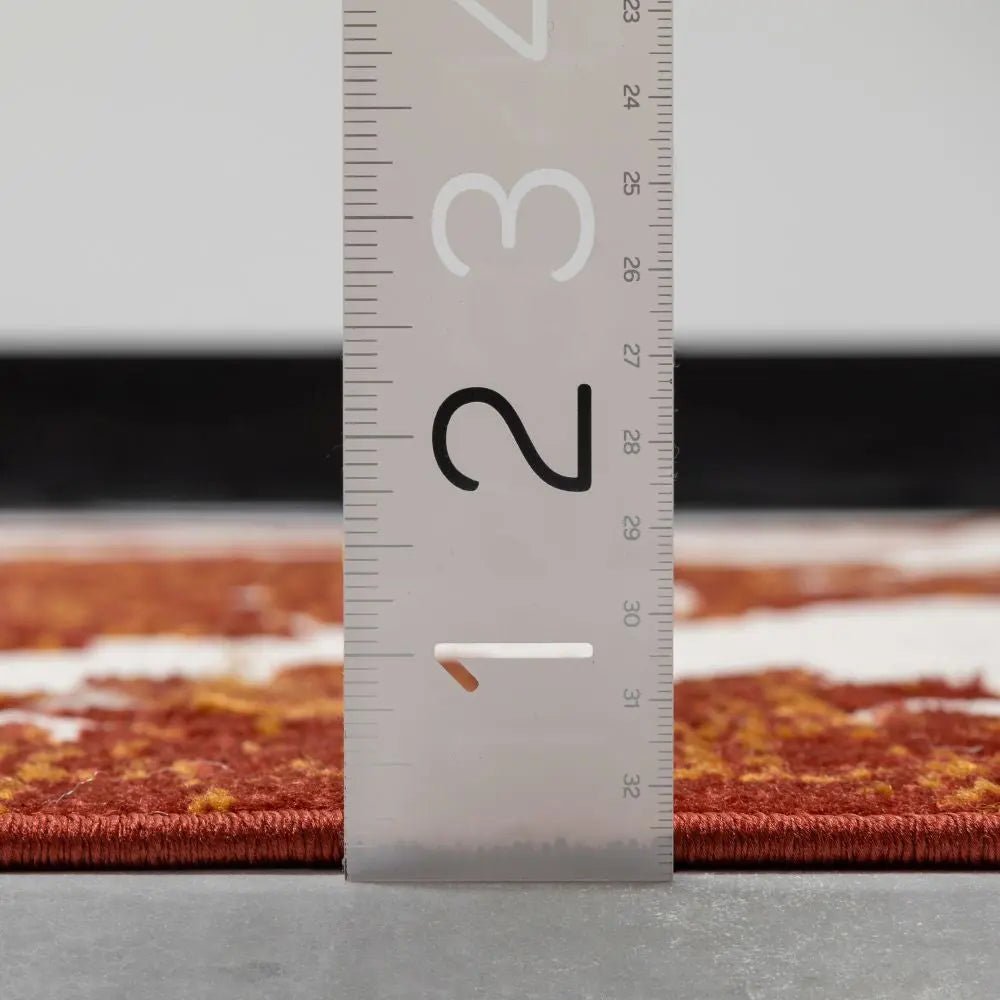 Arid Modern Medallion Persian Indoor/Outdoor Terracotta High-Low Rug、mySite、gigharbornorthrealestate