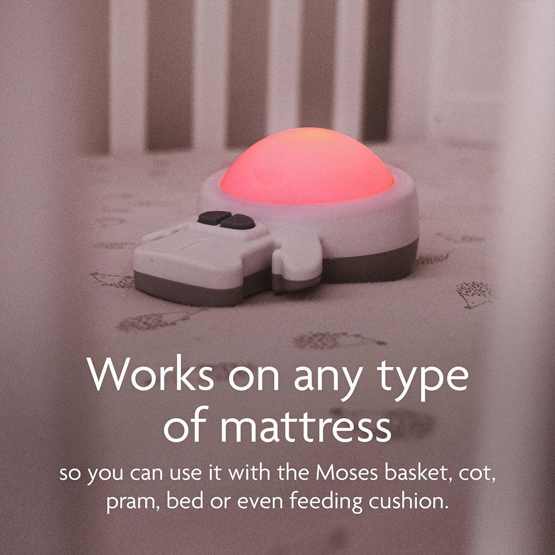  Rockit Zed、mySite、merchandisen