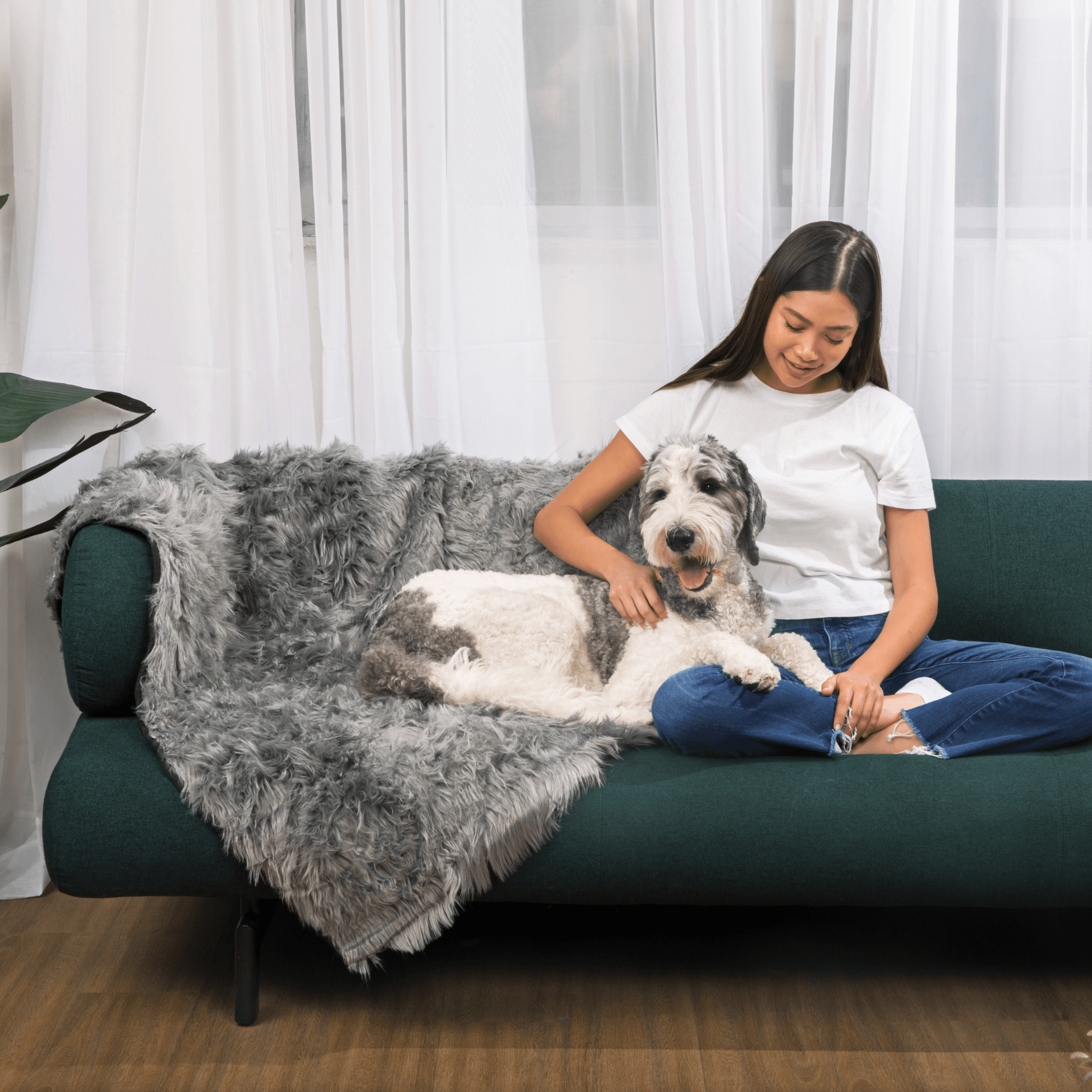 PupCloud™ Human-Size Dog Bed + Matching Waterproof Blanket Bundle - Charcoal Grey、mySite、solidvoid