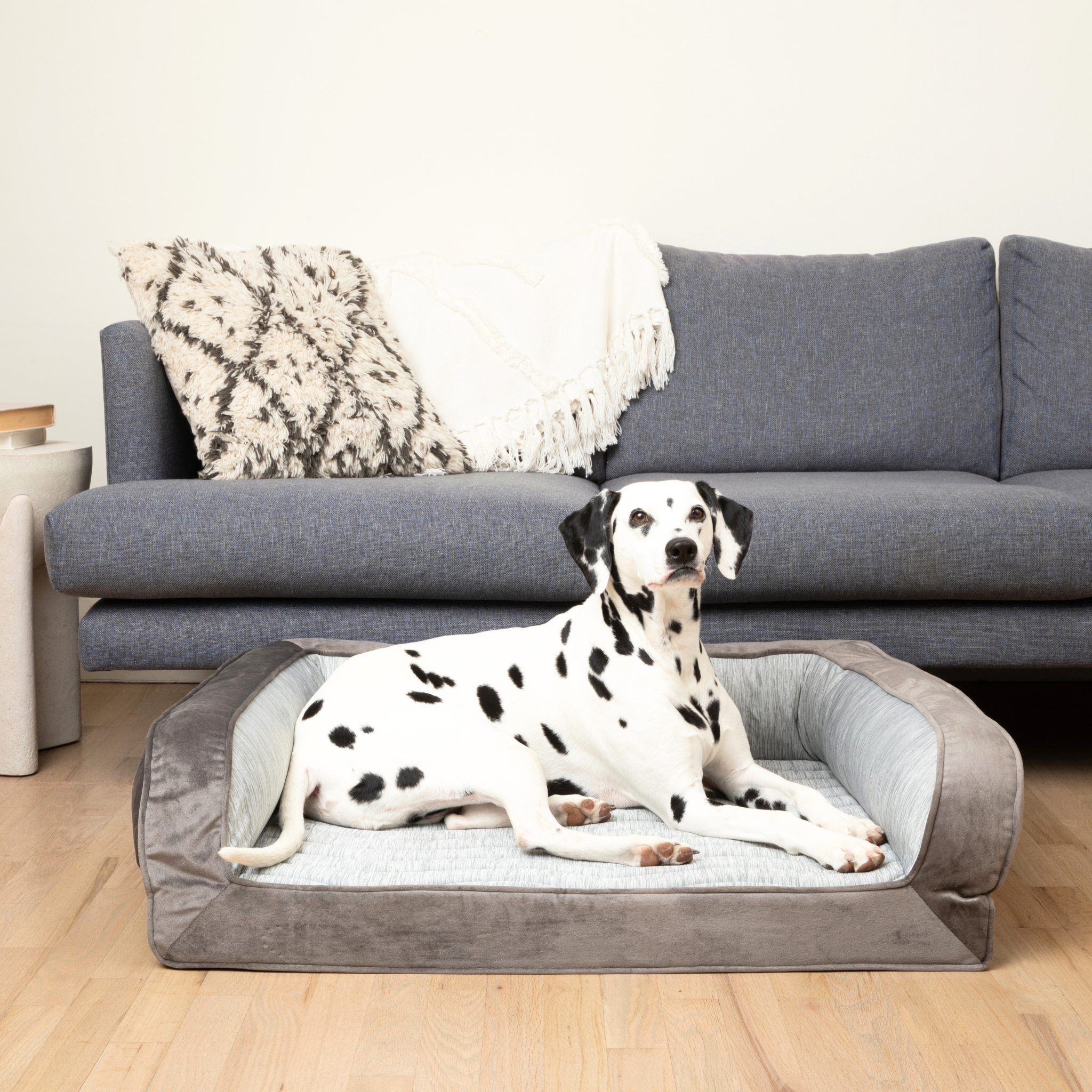 PupChill™ Cooling Bolster Dog Bed、mySite、solidvoid