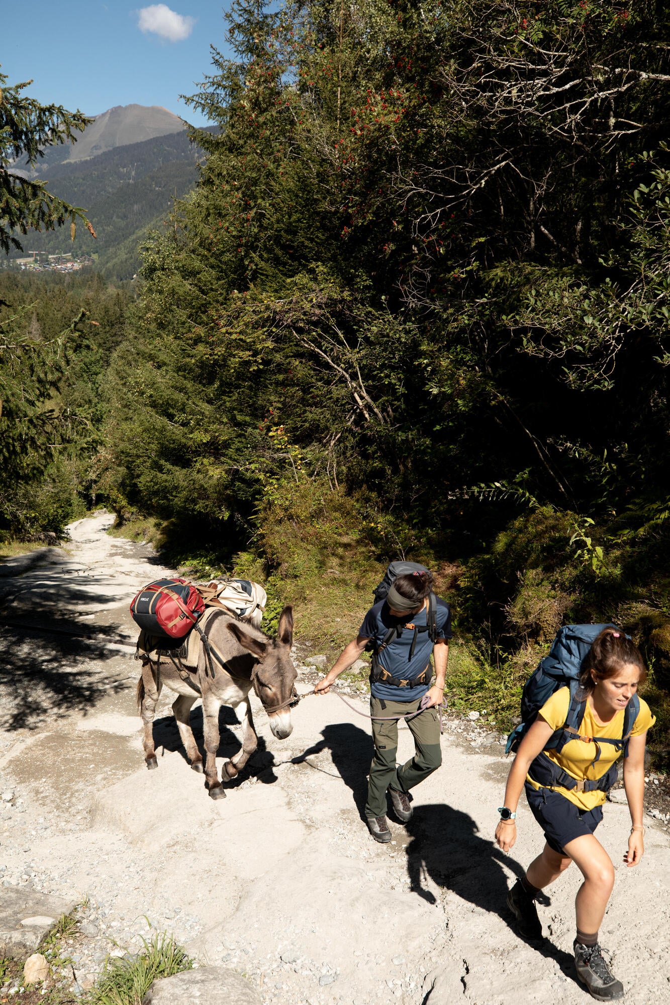 Forclaz 500 Extend 40-60 L Duffel Bag、mySite、neckold