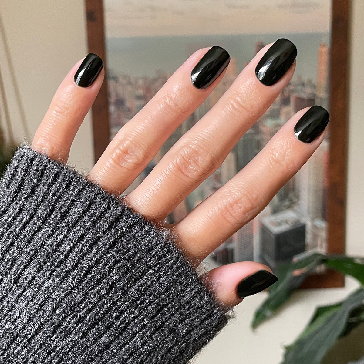 Latenight、mySite、solidvoid