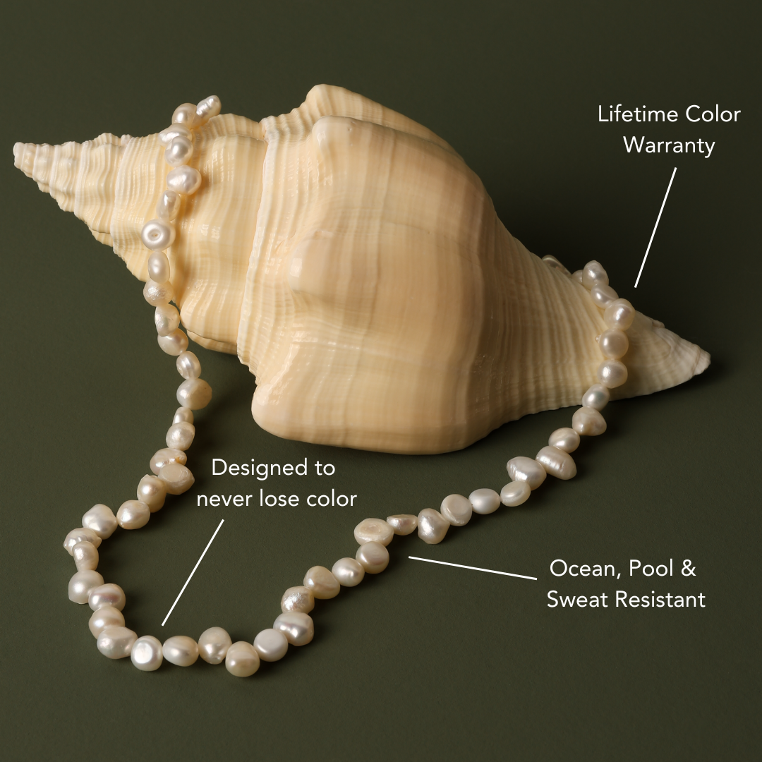 Sunseeker Choker、mySite、hinf8tx79