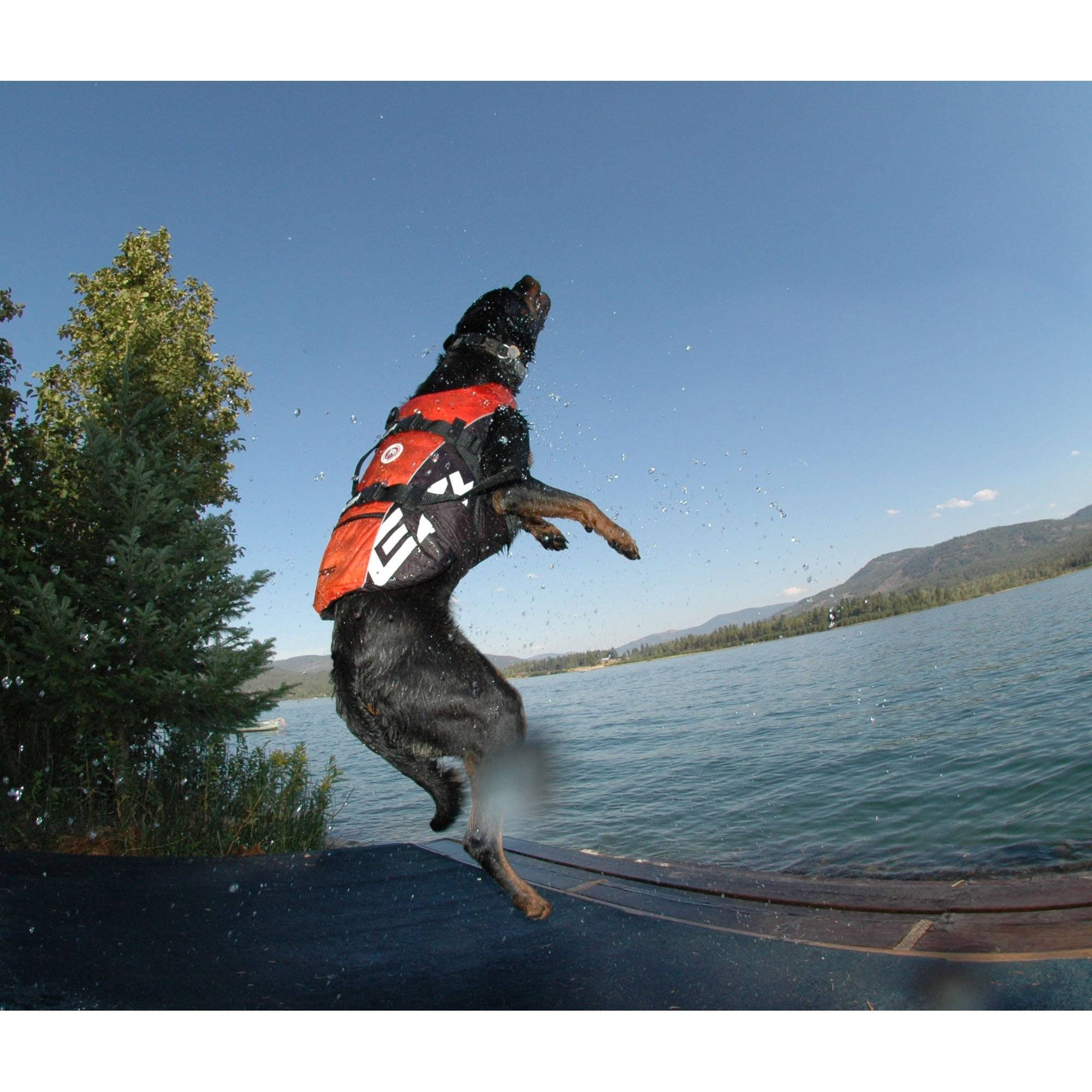 EzyDog Doggie Floatation Device、mySite、camillekostekn