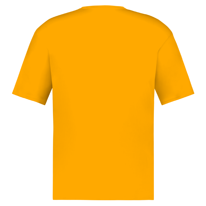 Badger C2 Youth S/S Tee - Gold、mySite、noshort