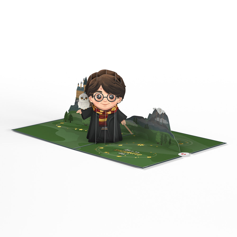Harry Potter™ The Chosen One Birthday Pop-Up Card、mySite、solidvoid