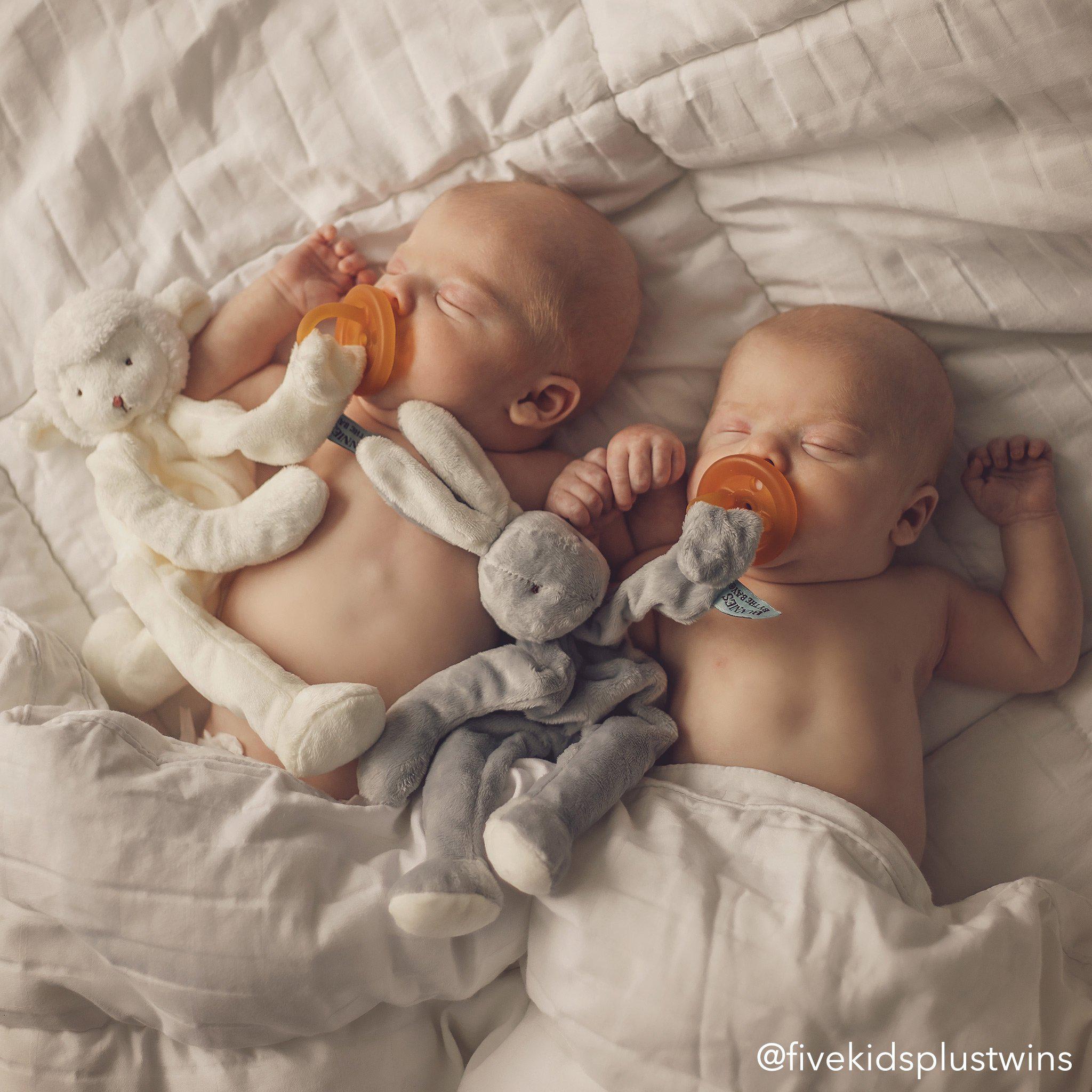 Bloom Bunny Silly Buddy、mySite、g9winljtr